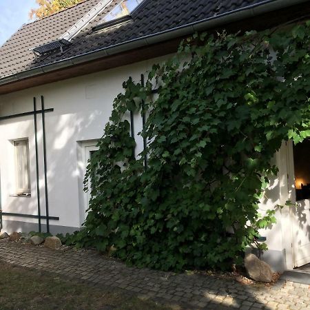 Fischer'S Haeuschen Straupitz Экстерьер фото